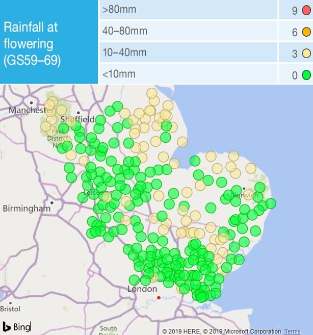 Screenshot from the wheat mycotoxin rainfall risk tool